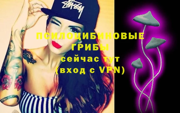 эйфоретик Алексин